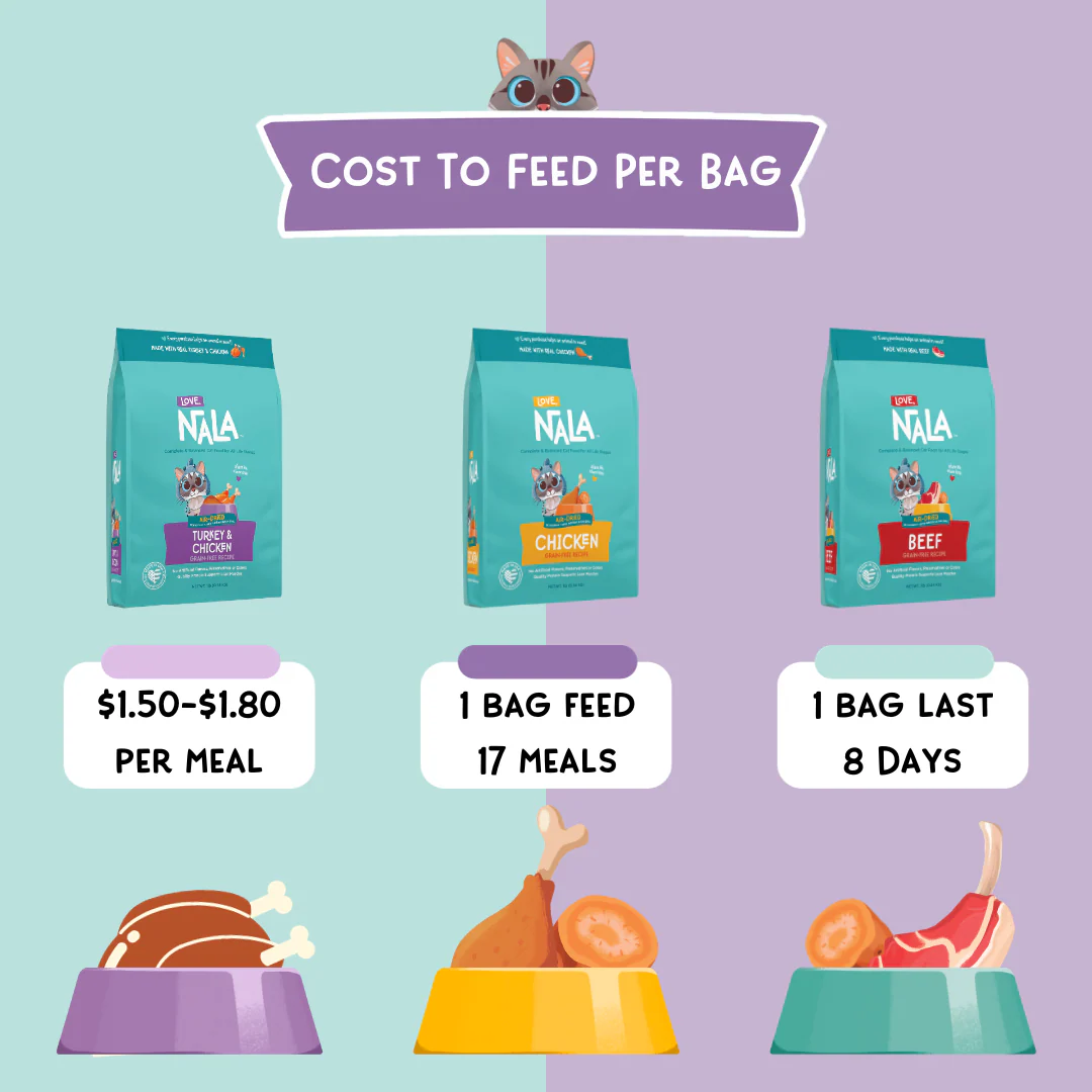 Beef Grain Free Recipe Air-Dried Adult Cat Food 1lb bag - Image 5